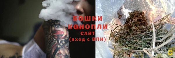 крисы Вязьма