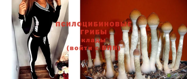 дживик Вязники