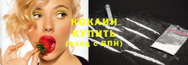 дживик Вязники