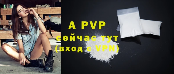 крисы Вязьма