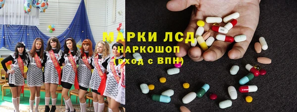 крисы Вязьма
