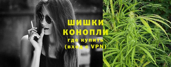 тгк Вяземский