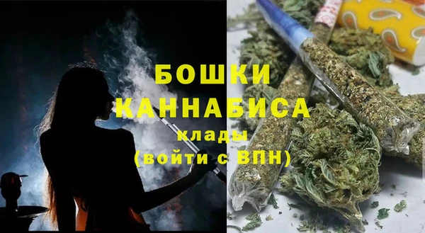 тгк Вяземский