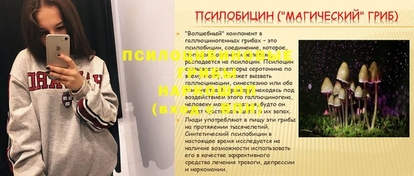 тгк Вяземский