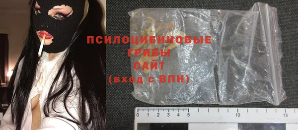 крисы Вязьма