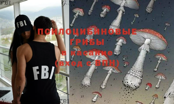 тгк Вяземский