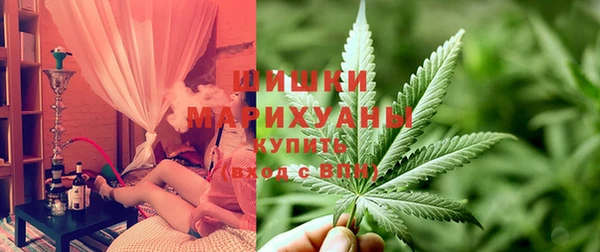 крисы Вязьма