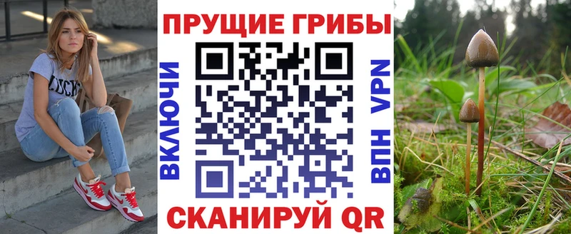 наркошоп  Черкесск  blacksprut зеркало  Галлюциногенные грибы Psilocybine cubensis 