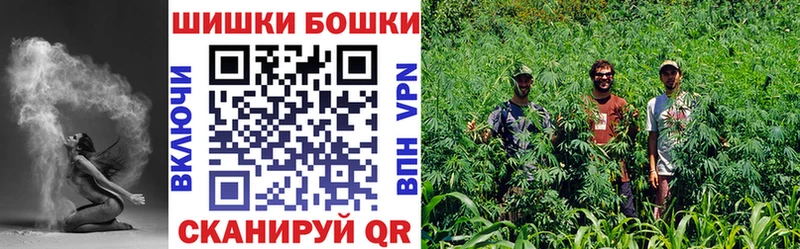 Бошки Шишки конопля  мега маркетплейс  Черкесск 